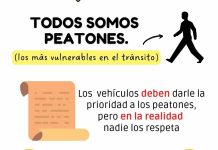 dia-seguridad-peatonal-todos-peatones