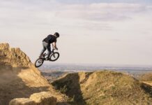 La Segunda Seguros describe algunas de las coberturas más insólitas del mercado segunda-seguros-insolitos-mercado