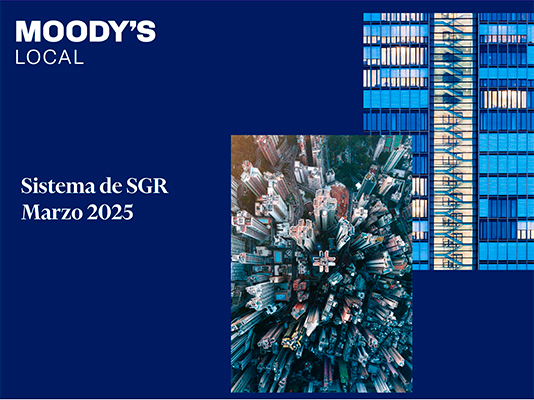 moodys local argentina informe sistema sgr moodys local argentina informe sistema sgr