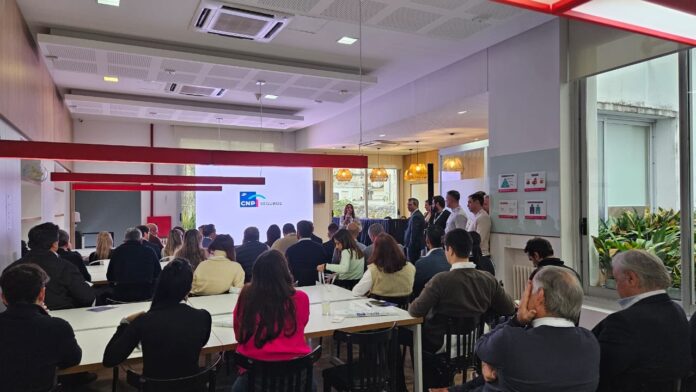 cnp-seguros-estrategia-digital cnp-seguros-estrategia-digital