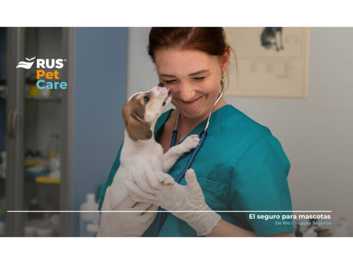 rus día veterinario cuidado responsable mascotas rus día veterinario cuidado responsable mascotas