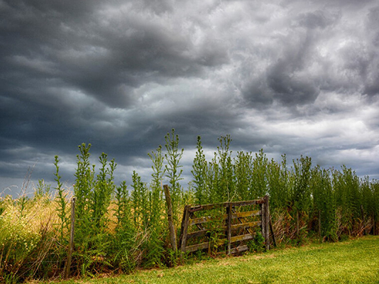 swiss re institute catástrofes naturales pérdidas primer semestre 2025 swiss re institute catástrofes naturales pérdidas primer semestre 2025