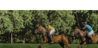 Triple Corona de Polo: Hanseatica se suma como sponsor del equipo Sol de Agosto hanseatica polo triple corona