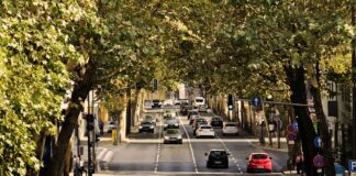 Estrés, un enemigo silencioso en las rutas argentinas estres-enemigo-silencioso-rutas-argentinas