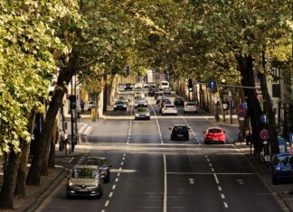 Estrés, un enemigo silencioso en las rutas argentinas estres-enemigo-silencioso-rutas-argentinas