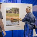 zurich-21-edicion-baphoto