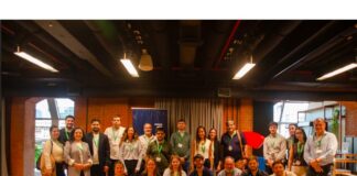 Grupo San Cristóbal potencia la digitalización con una capacitación junto a Google san cristóbal digitalización capacitación google