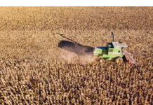 Cosecha récord: los productores agropecuarios cuentan con una herramienta estratégica cosecha productores herramienta estratégica
