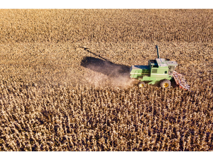 cosecha productores herramienta estratégica cosecha productores herramienta estratégica