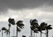 Moody’s: estimación de pérdidas aseguradas por el huracán Melissa moody’s pérdidas aseguradas melissa