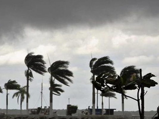 moody’s pérdidas aseguradas melissa moody’s pérdidas aseguradas melissa