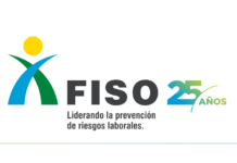 Webinar especial con los ganadores del Premio FISO 2025 webinar ganadores-premio-fiso 2025