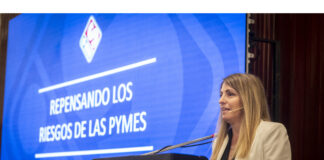 Repensando los riesgos de las pymes iapser repensando riesgos pymes