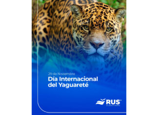 Seguro de protección del yaguareté: una herramienta inédita para frenar su extinción rus seguro protección yaguareté