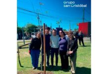 Nuevos árboles: Grupo San Cristóbal impulsó una jornada por los 300 años de Rosario árboles san cristóbal rosario
