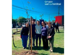 Nuevos árboles: Grupo San Cristóbal impulsó una jornada por los 300 años de Rosario árboles san cristóbal rosario