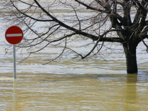 cambio climático pérdidas aseguradoras 2025