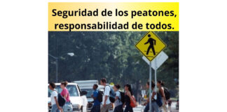 Conductores y peatones: respetarnos para vivir luchemos conductores peatones respetarnos