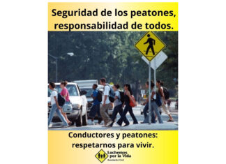 Conductores y peatones: respetarnos para vivir luchemos conductores peatones respetarnos