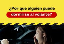 Luchemos por la Vida: somnolencia y conducción somnolencia-conduccion-luchemos-vida