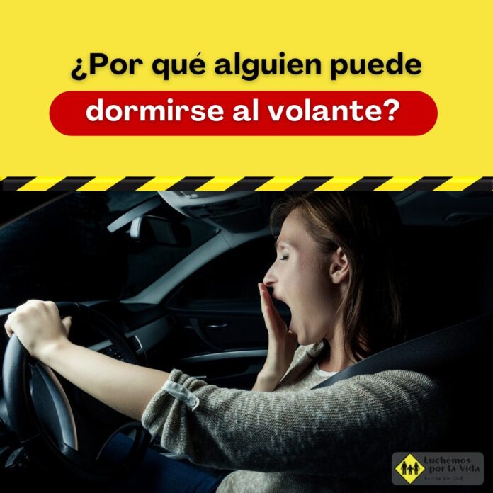 somnolencia-conduccion-luchemos-vida somnolencia-conduccion-luchemos-vida