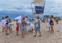 Grupo San Cristóbal: jornada de acción ambiental junto a Eco House en Pinamar san cristobal pinamar eco house