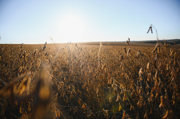 la segunda seguros cordoba agricola