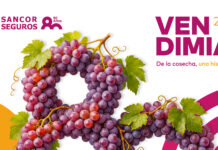 Sancor Seguros estará presente en la edición 90° de la Fiesta Nacional de la Vendimia sancor-seguros-fiesta-vendimia-mendoza