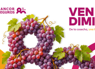 Sancor Seguros estará presente en la edición 90ª de la Fiesta Nacional de la Vendimia sancor-seguros-fiesta-vendimia-mendoza