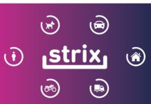 Piratas del asfalto: Strix recuperó carga con aderezos por más de 154 millones de pesos strix piratas asfalto recuperación aderezos