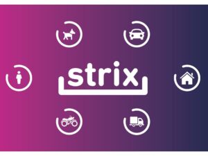 strix piratas asfalto recuperación aderezos