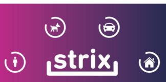 Piratas del asfalto: Strix recuperó carga con aderezos por más de 154 millones de pesos strix piratas asfalto recuperación aderezos