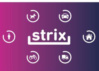 Piratas del asfalto: Strix recuperó carga con aderezos por más de 154 millones de pesos strix piratas asfalto recuperación aderezos