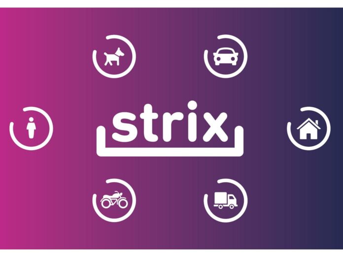 strix piratas asfalto recuperación aderezos