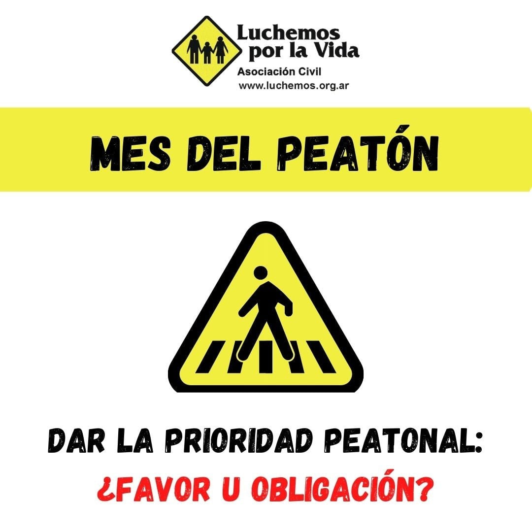 dia seguridad peatonal luchemos vida