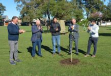 Cooperación Seguros donó 100 árboles al Municipio de Venado Tuerto cooperacion seguros arboles venado tuerto