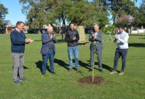 cooperacion seguros arboles venado tuerto