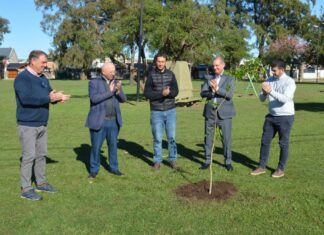 Cooperación Seguros donó 100 árboles al Municipio de Venado Tuerto cooperacion seguros arboles venado tuerto