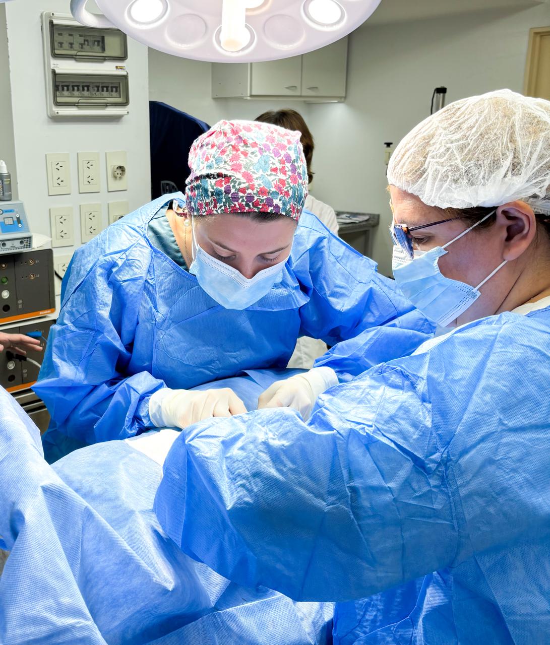 cites-sancor-seguros-amnova-biotech