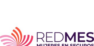 Nueva edición del Programa de Mentoreo de REDMES programa mentoreo redmes 2026