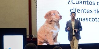 Vetify: más salud para las mascotas, más ventas para vos vetify salud mascotas ventas