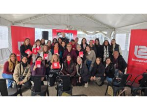 mujeres volante auto segunda