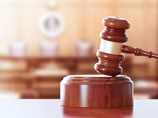 justicia consorcio aseguradora perros