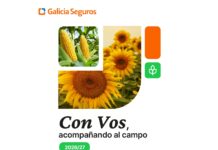 Póliza forestal: Galicia Seguros lanza una solución innovadora para proteger plantaciones forestales ante incendios póliza forestal galicia seguros incendios