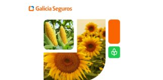 Póliza forestal: Galicia Seguros lanza una solución innovadora para proteger plantaciones forestales ante incendios póliza forestal galicia seguros incendios