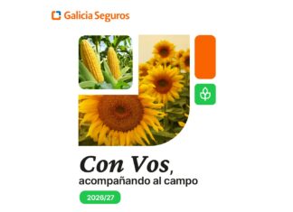 Póliza forestal: Galicia Seguros lanza una solución innovadora para proteger plantaciones forestales ante incendios póliza forestal galicia seguros incendios