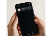 IAPSER ART logró la autorización de la SRT e incorporó WhatsApp para notificaciones formales iapser art srt whatsapp notificaciones