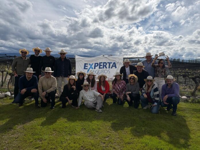 mendoza experta seguros visita mendoza experta seguros visita
